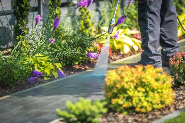 Best Patio and Deck Pressure Washing  in New Baltimore, VA