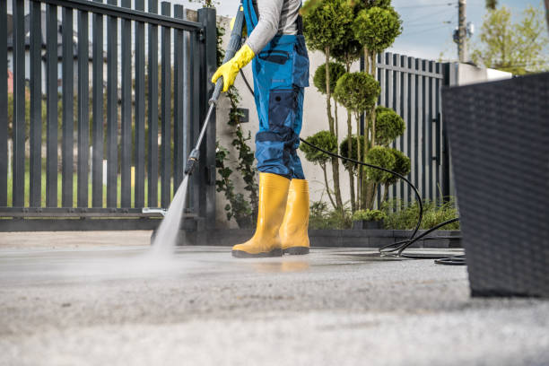 Best Building Exterior Washing  in New Baltimore, VA